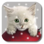 xmas cat android application logo